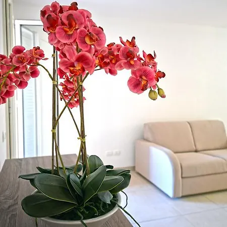 Leo * غالّيبولي